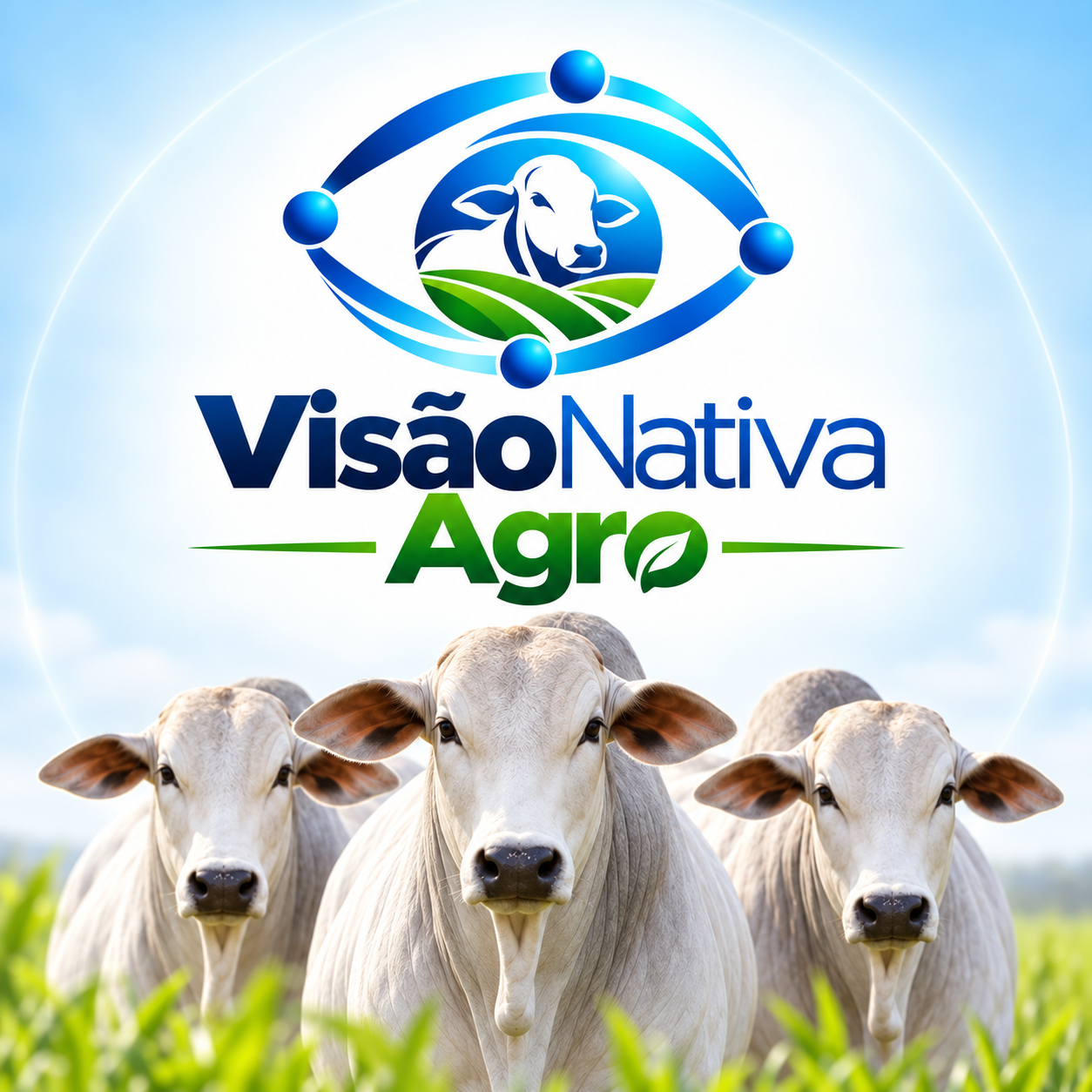 Marca Visão Nativa Agro