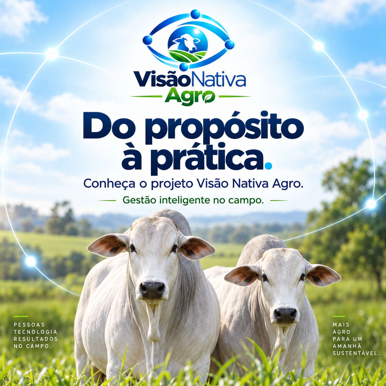 Imagem institucional clara do Visão Nativa Agro com dois animais Nelore.